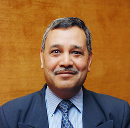 Satya N. Gupta